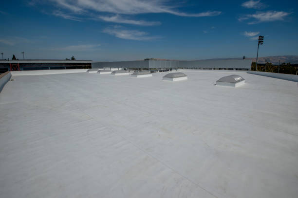 Best Asphalt Shingle Roofing  in Lake Wildwood, CA