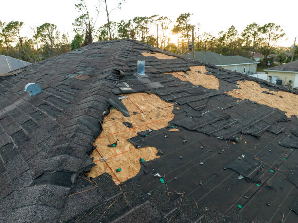 Best Wood Shake Roofing  in Lake Wildwood, CA