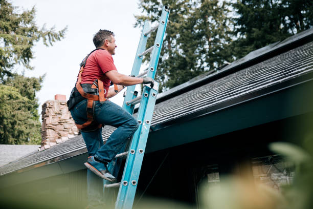 Best Metal Roofing Installation  in Lake Wildwood, CA
