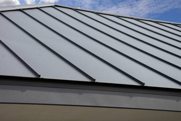 Best Roof Moss and Algae Removal  in Lake Wildwood, CA
